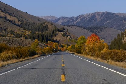 Almost Home ©