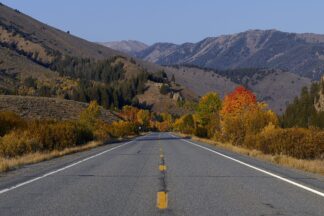 Almost Home ©
