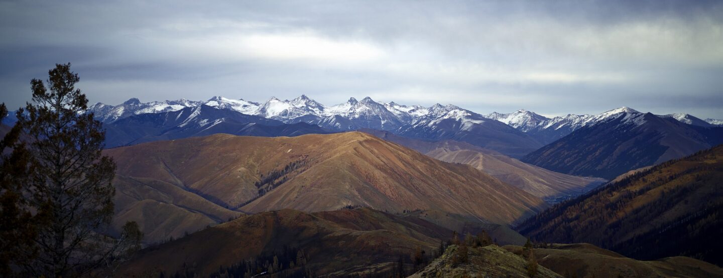 And The Pioneers Are Still Visible