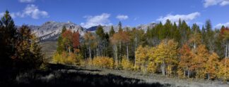 Boulders Wide Open in the Fall ©
