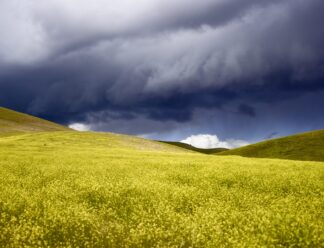 Beating the Storm Home ©