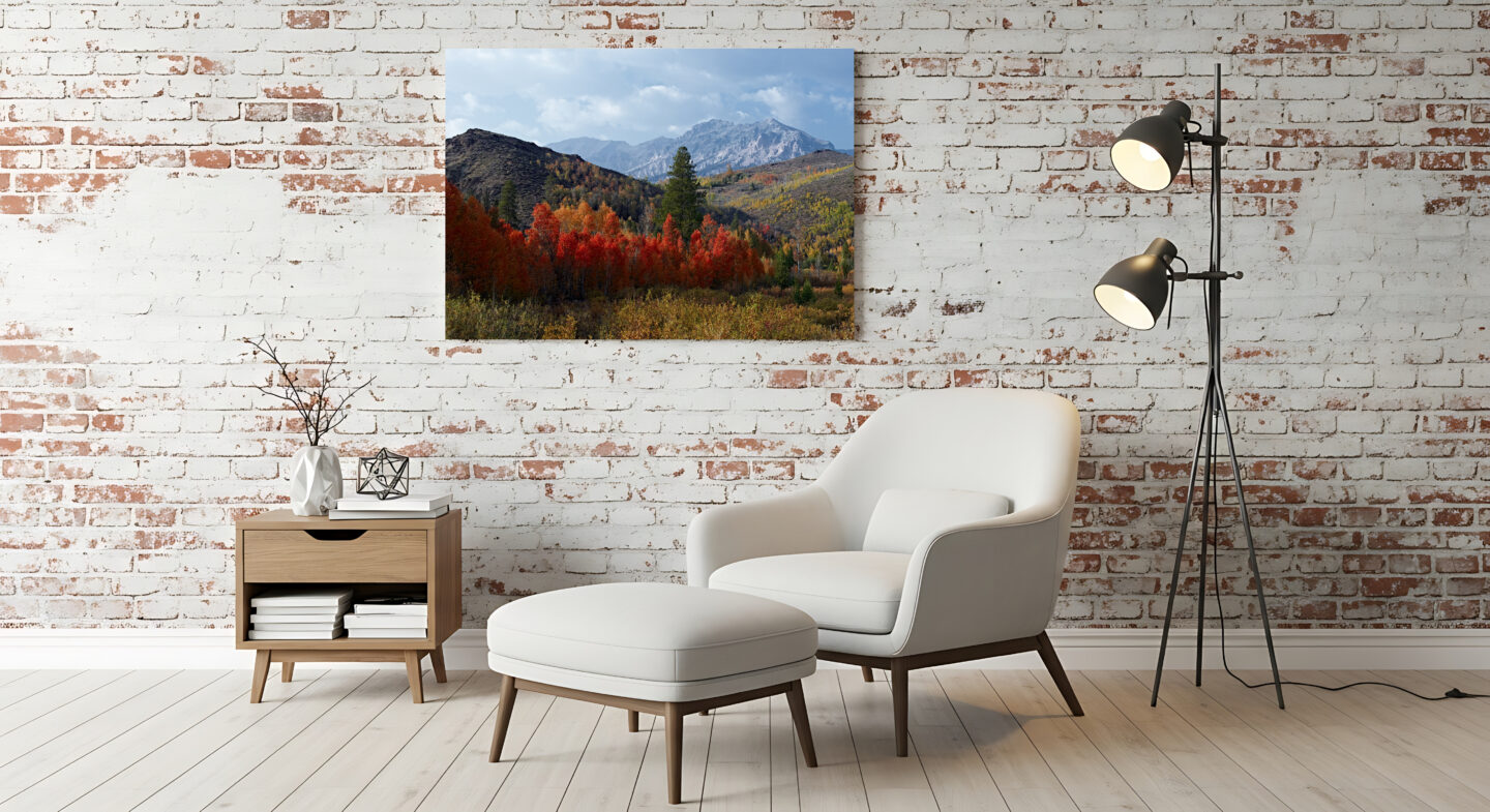 AdobeStock_1596391307 BIR Example