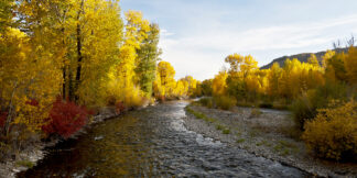 On the River at Starweather ©