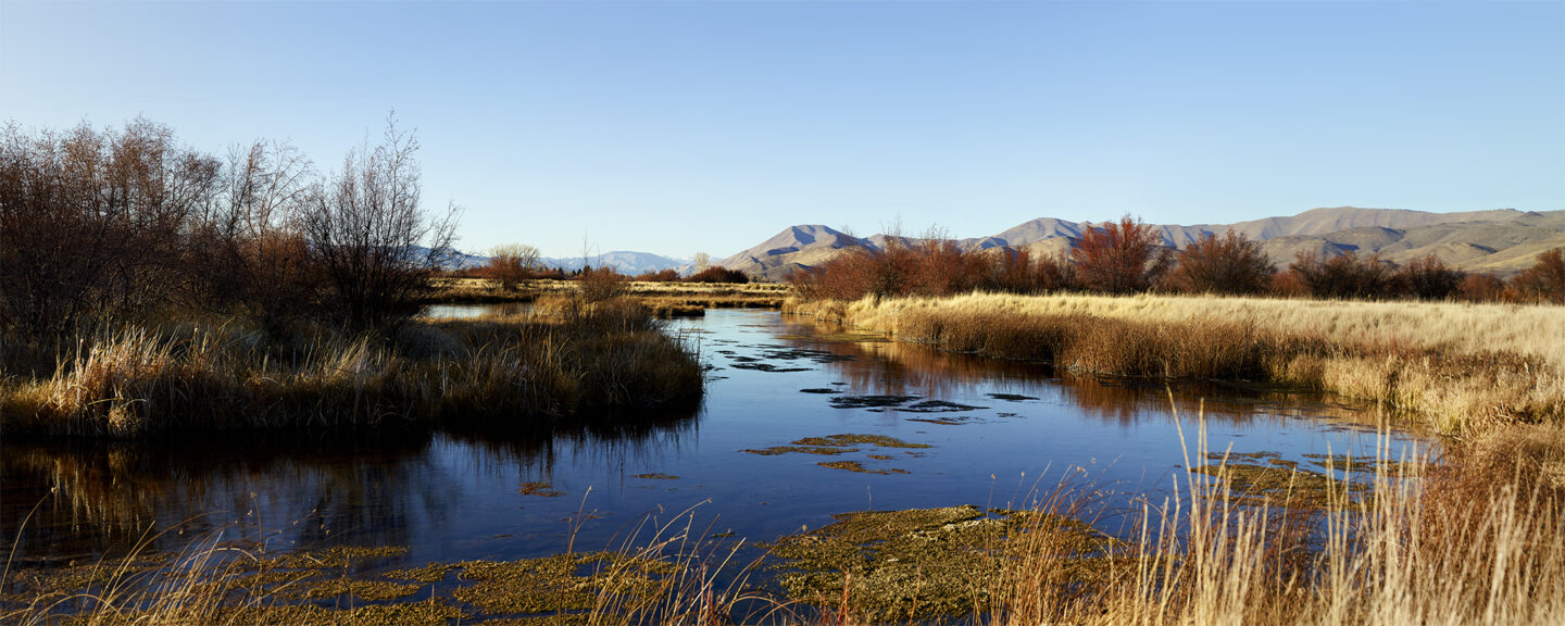 Late afternoon on Silver Creek on the first day November.