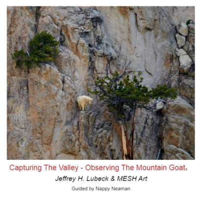 Capturing The Valley - Observing The Mountain Goat