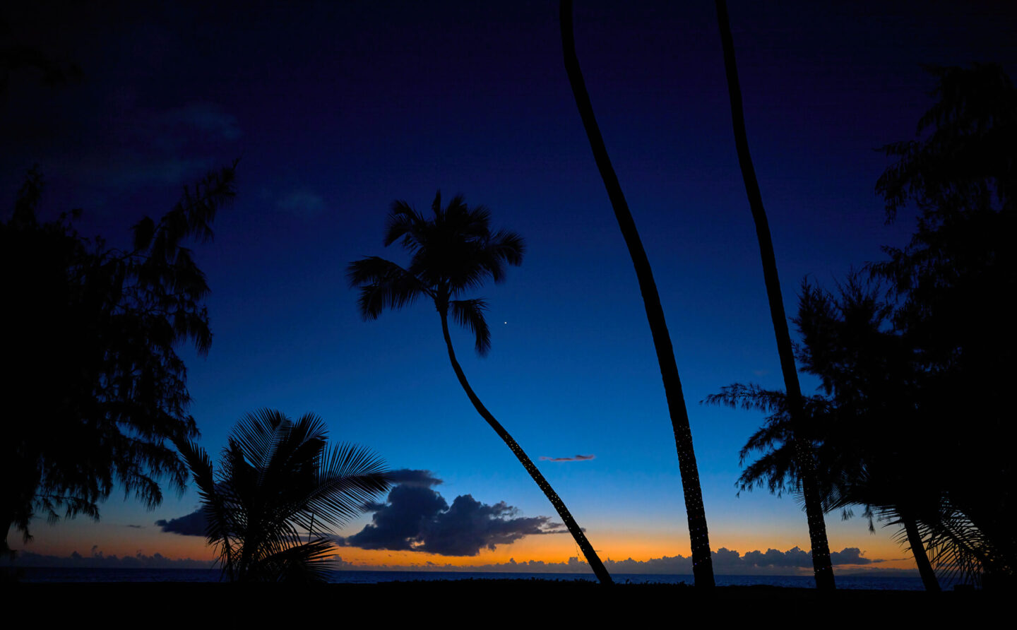 Lights Action Nautical End