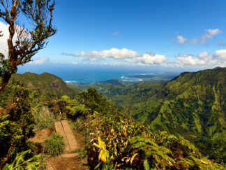 On the Lookout at Kilohana