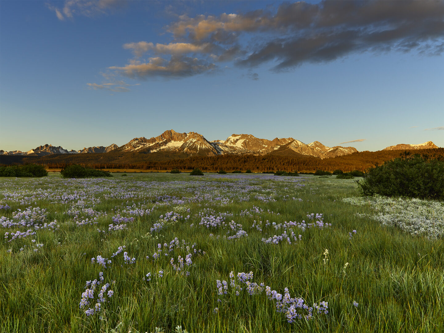 Summer Sun Rises on the Sawtooths P0007708 3 © Copyright Jeffrey H Lubeck MESH Art LLC